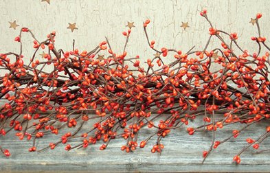 CWI Pumpkin Garland - 4ft - Artificial Garland for Mantle, Arch, Table, and Entryway