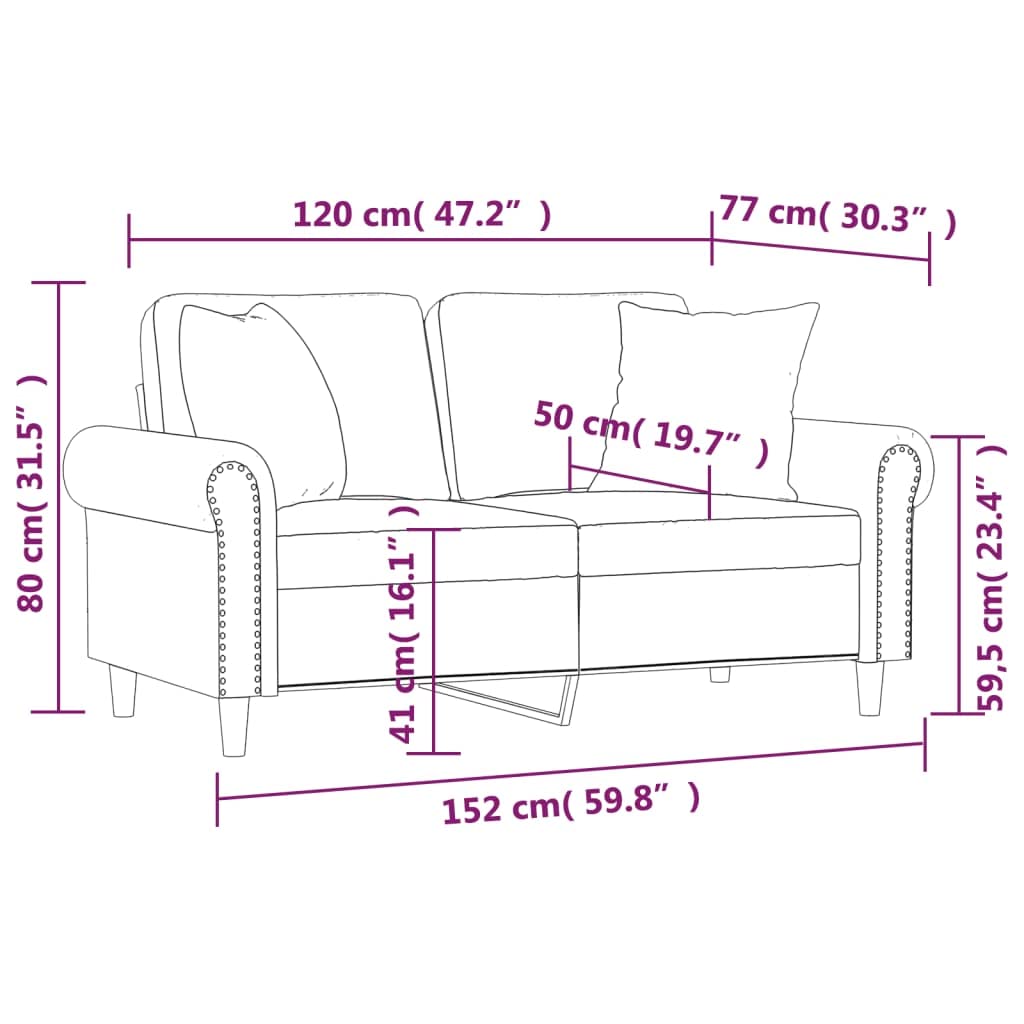 vidaXL Velvet 2-Seater Sofa with Pillows and Cushions in Dark Gray - Cozy, Modern Design for Living Room, Lounge, or Home Office