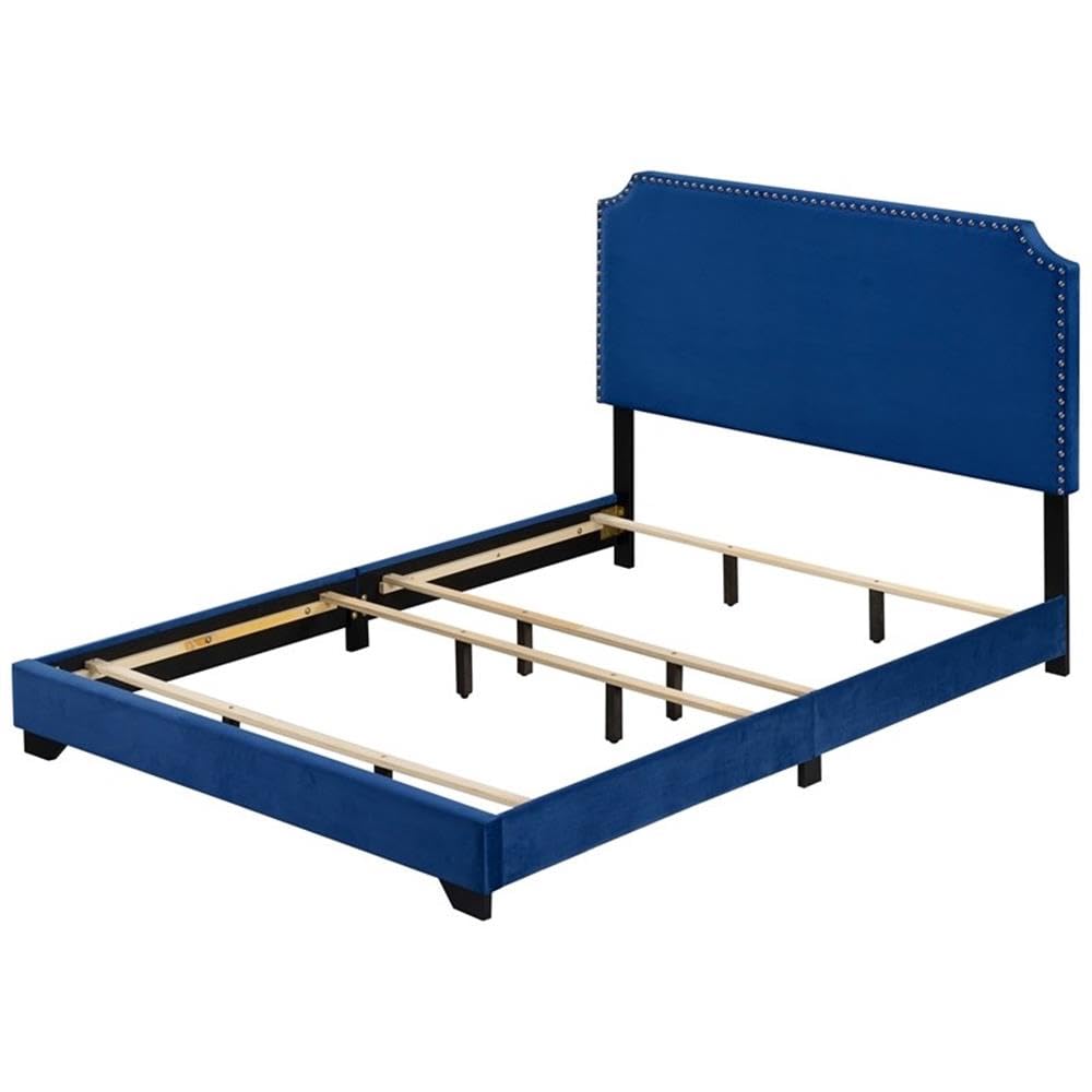 Acme Haemon Fabric Upholstered Queen Bed with Nailhead Trim in Blue