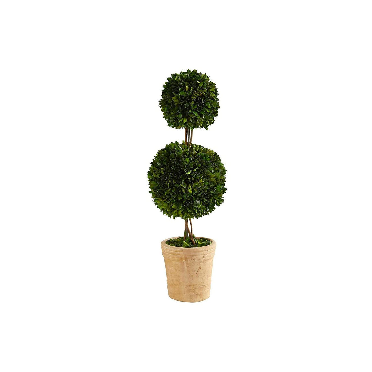 Nearly Natural 2.5Ft. Preserved Boxwood Double Ball Topiary Tree In Decorative Planter