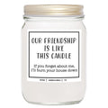 YouNique Designs Our Friendship is Like This Candle, 7 Ounces, Friendship Candle, Best Friend Candles for Women Funny, Friend Ca