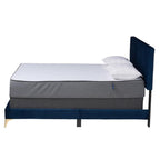 Baxton Studio Abberton Navy Blue Velvet and Gold Metal Queen Size Panel Bed