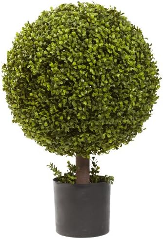27? Boxwood Ball Topiary