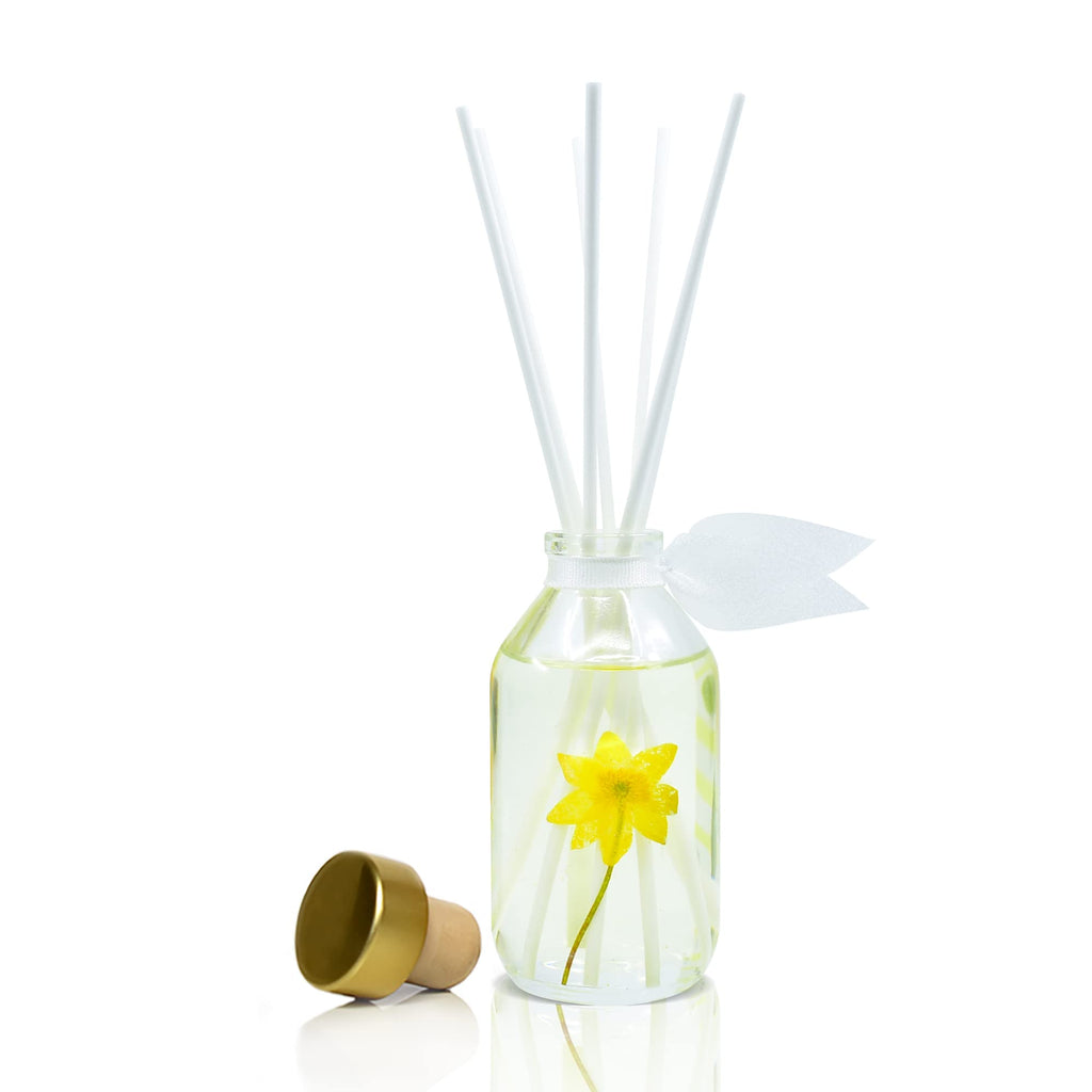 Lovspa Coastal Citrus Scented Reed Diffuser Set - Fresh Scent Diffuser For Home - Non-Toxic Oil Reed Diffuser - Made In The Usa