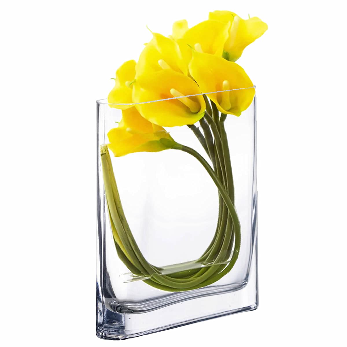 CYS EXCEL Glass Book Vase (H:8 Open:7x2) | Multiple Size Choices Round Edge Oval Flower Vase | Rectangular Wedding Centerpiece V