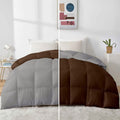 Razzai 500Gsm Microfiber Winter Quilted Comforter Single (Silver/Brown)