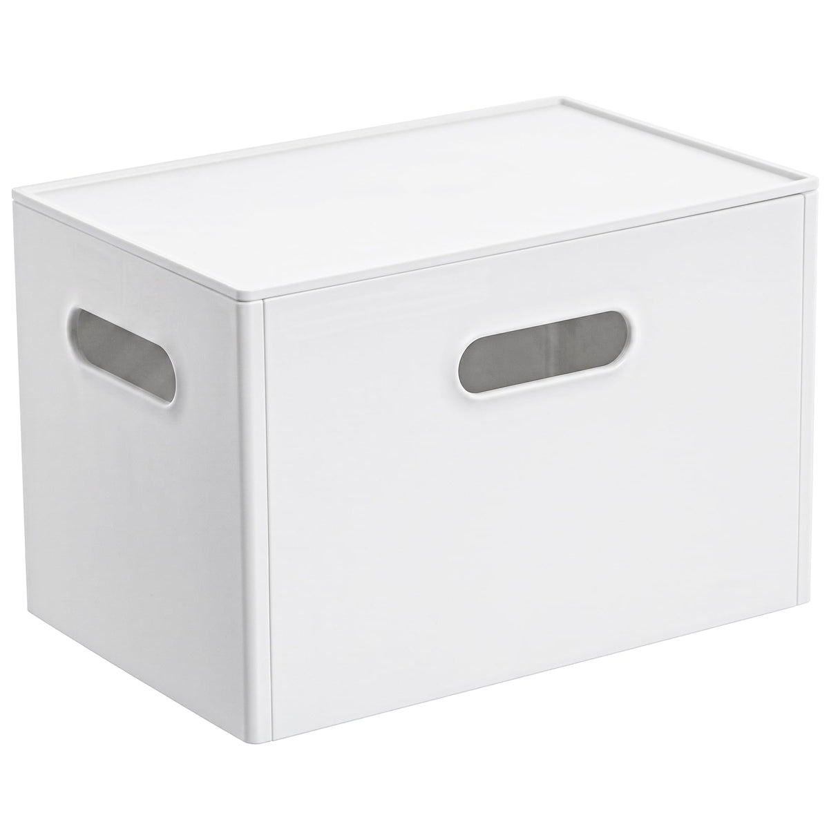 Anywish Collapsible Plastic Storage Bin with Lid, Stackable, White, S