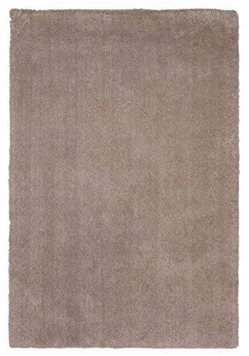 HomeRoots Decor 27-inch X 45-inch Polyester Beige Area Rug