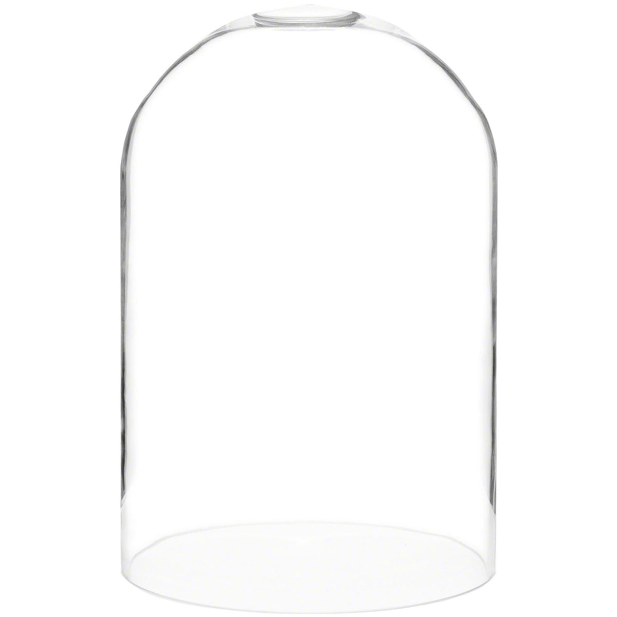 Plymor 8 x 12 Glass Display Dome Cloche (no Base)