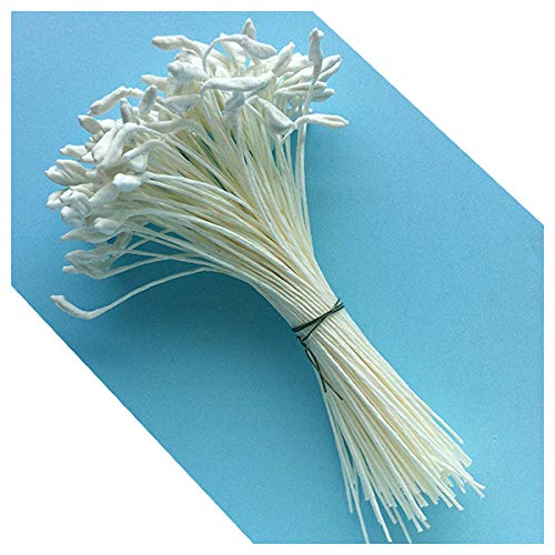 W OF S A SCOTT CLARK WOOLLEY Medium Lily & Peony Flower Stamens (White)