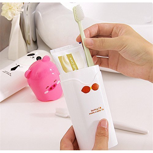 Begmy Plastic Travel Toothbrush Holder Box (Multi Color)