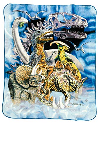Crover Plush Raschel Mink Blanket Dinosaur 100% Polyester Queen Size 79''X95''