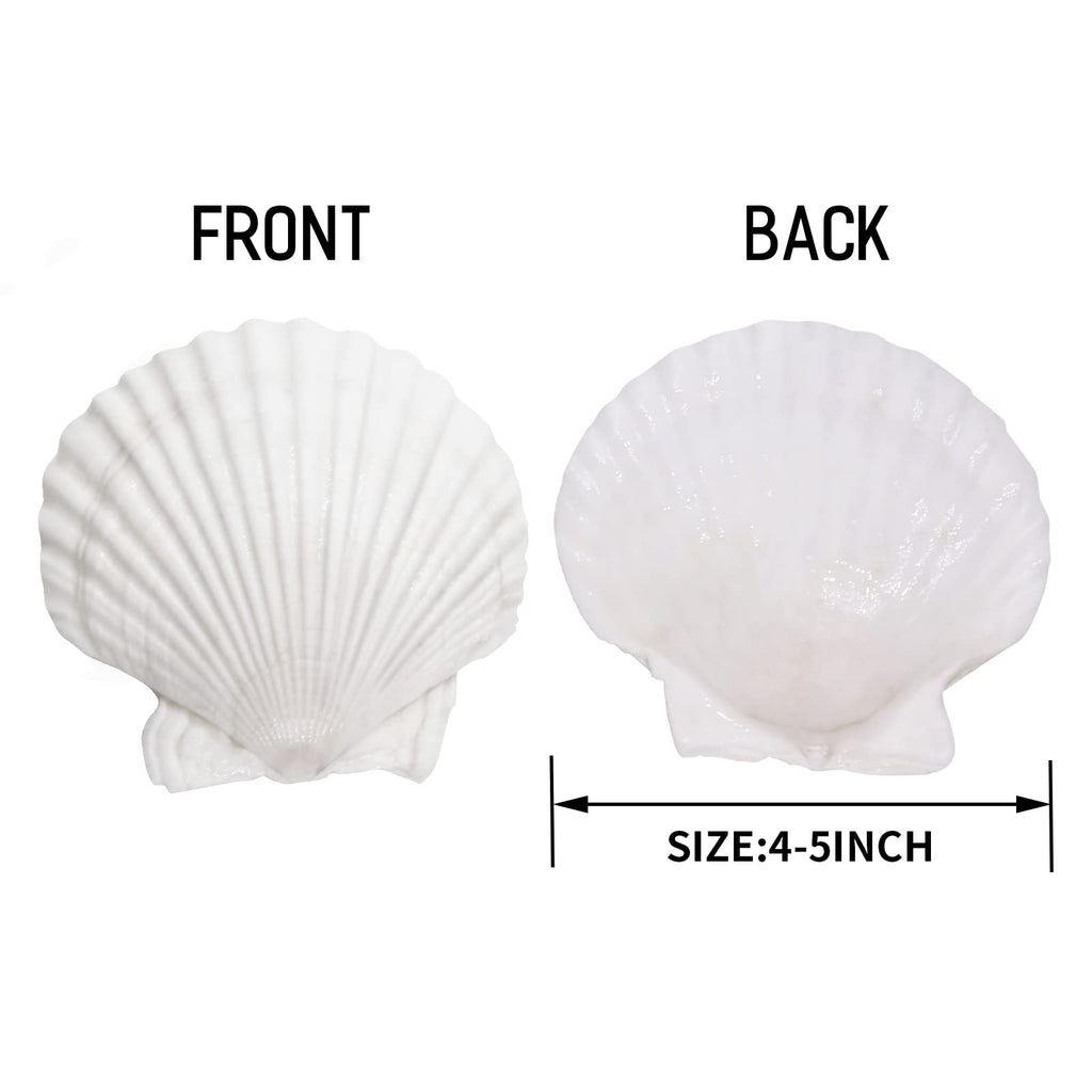 Giftvest 10Pcs Sea Shells White Scallop Shells For Crafts Baking Cooking Serving Food, 4-5 Inch Large Natural Seashells For Diy