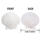Giftvest 10Pcs Sea Shells White Scallop Shells For Crafts Baking Cooking Serving Food, 4-5 Inch Large Natural Seashells For Diy