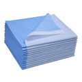 Avalon Papers Single-Use Medical Equipment Drape, Blue, 40 x 90 (Pack of 50) - Stretcher Sheet or Treatment Table Coverr - Fluid