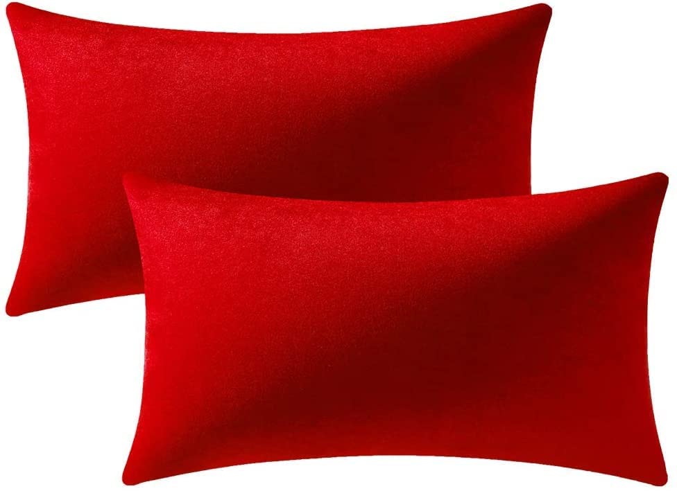 Avs Throw Pillow Covers Cushion Cover For Couch Pillow Cases Sofa/Bedroom/Home Office Decorative Cover Rectangle (Size 16X24 Inc