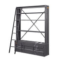 Acme Cargo Bookshelf & Ladder (TV Stand) in Gunmetal