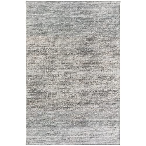 Ciara Cr1 Black Transitional Rug Rectangle 3' X 5'