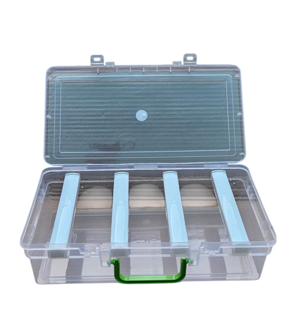 MFN Clear Plastic 4 Rod Storage Bangle Box with Dividers, Green Handle, Large Compartment Organizer