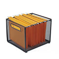 Settfrfe Letter-Size Hanging Folder Organizer,Metal Mesh Hanging File Folder Box,Office File Baskets,Black