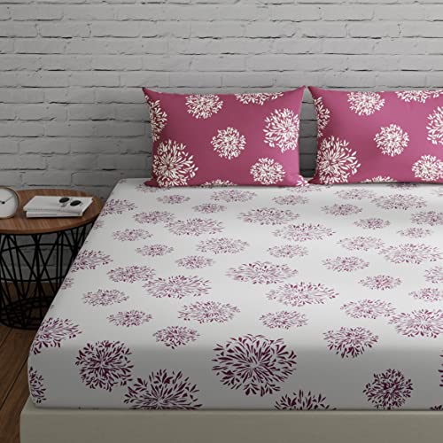 Huesland By Ahmedabad Cotton 144 Tc Cotton Elastic Bedsheets For King Size Bed With 2 Pillow Covers | 6Ft X 6.5Ft | White & Mauv