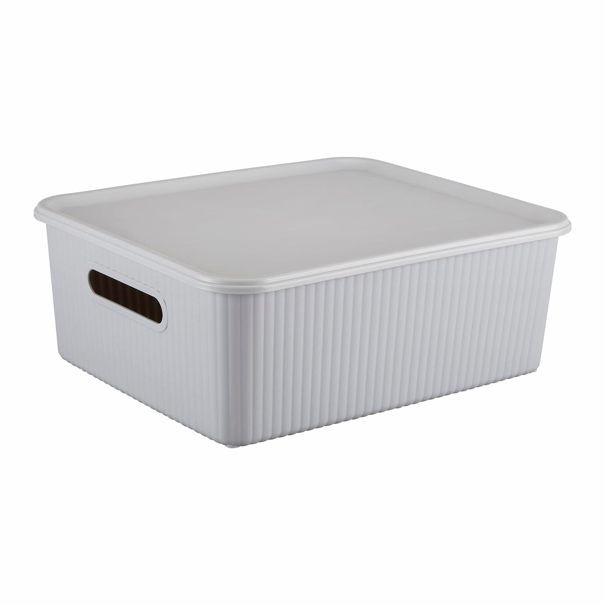 Kolorr Ribbed Baskets Medium Pack of 2 With 2 Standard Lid (NonAirtight LooseFit Cover) Multipurpose Plastic Storage Baskets F