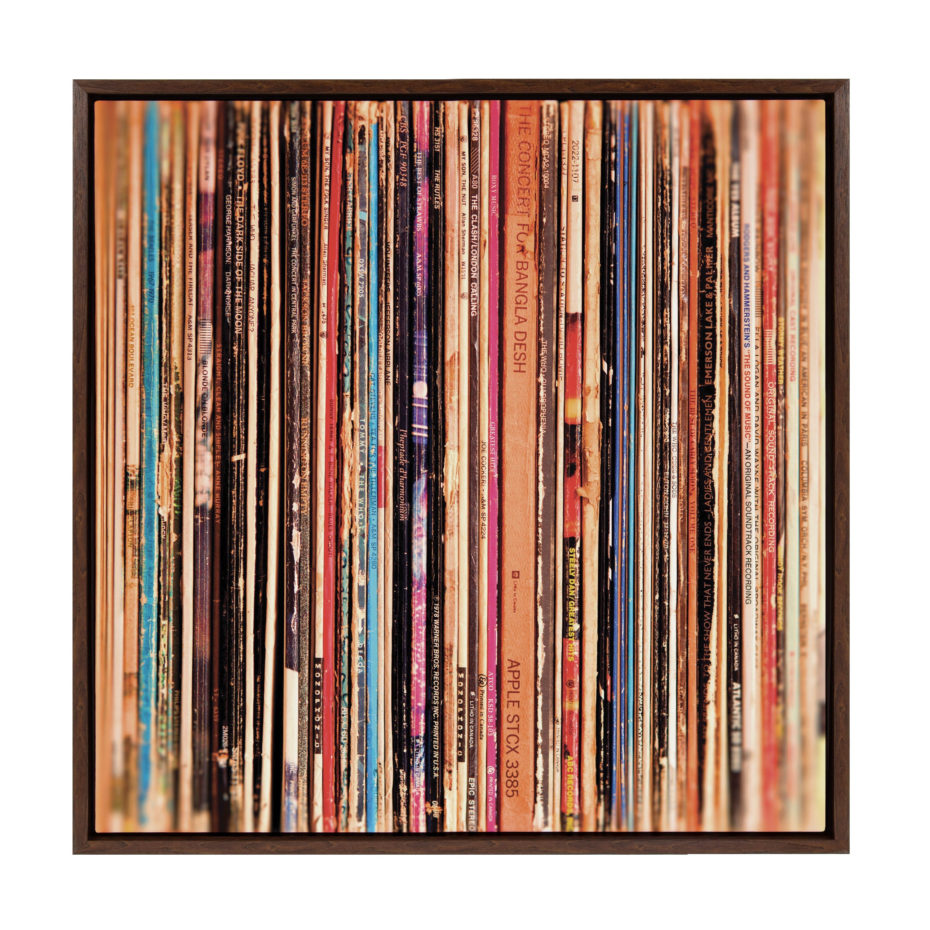 Sylvie Records Framed Canvas by Robert Cadloff of Bomobob