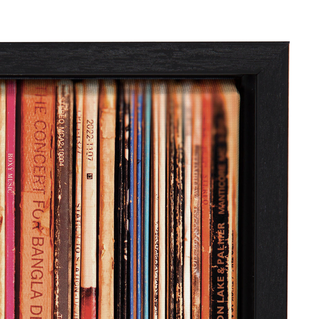 Sylvie Records Framed Canvas by Robert Cadloff of Bomobob