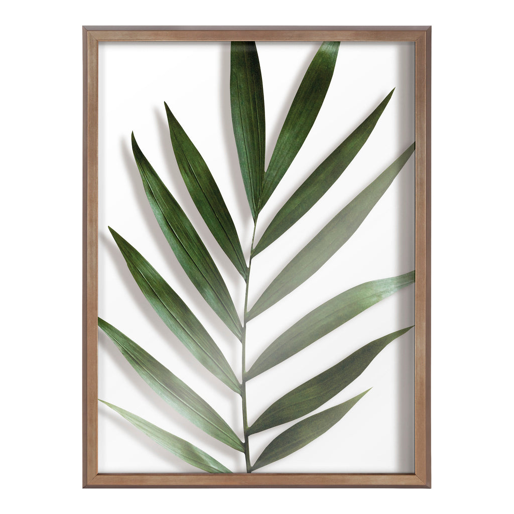 Blake Botanical 5F Framed Printed Glass by Amy Peterson