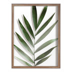 Blake Botanical 5F Framed Printed Glass by Amy Peterson