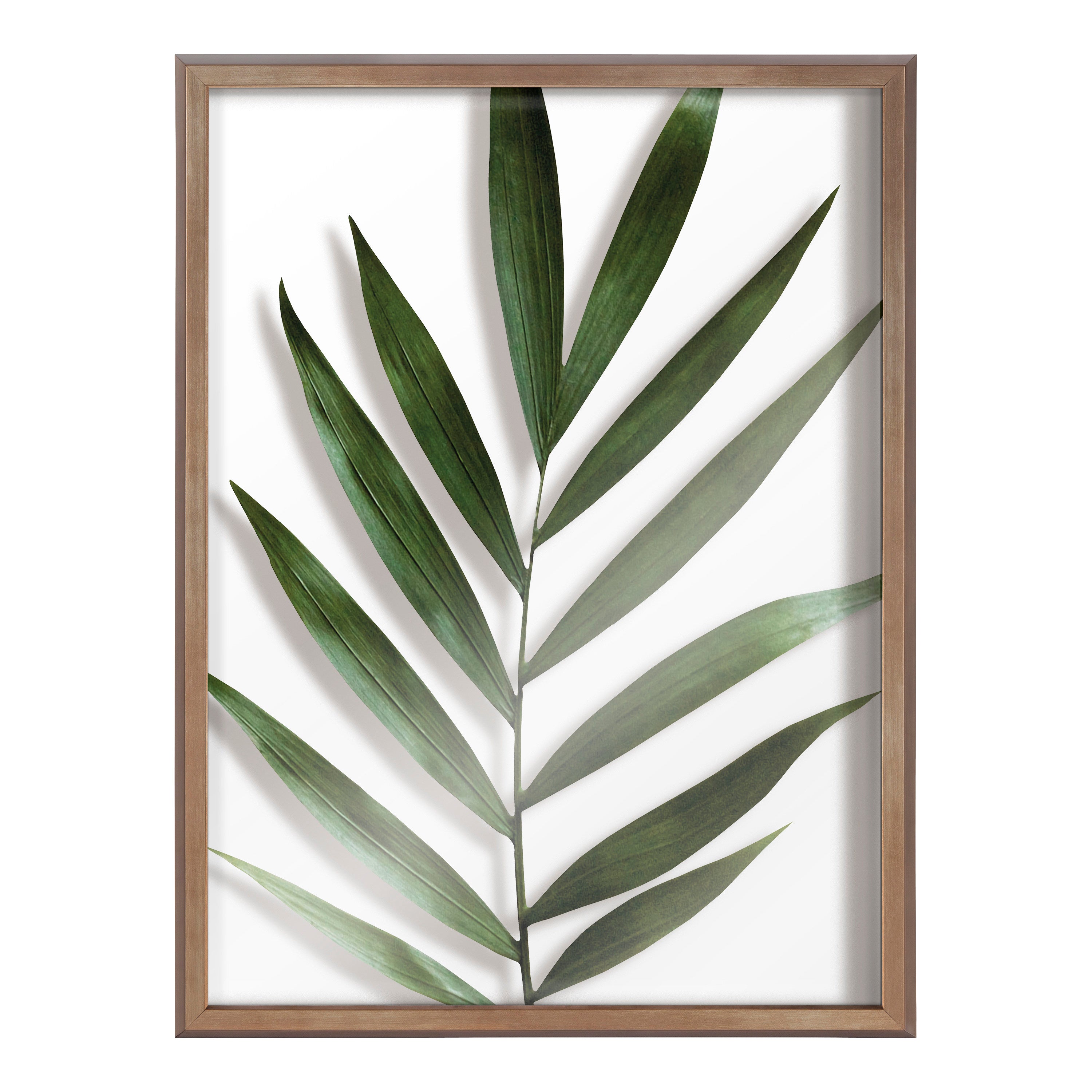 Blake Botanical 5F Framed Printed Glass by Amy Peterson