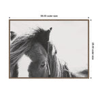 AA Noble by Alicia Abla Framed Canvas Wall Art Print