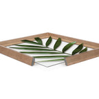 Blake Botanical 5F Framed Printed Glass by Amy Peterson