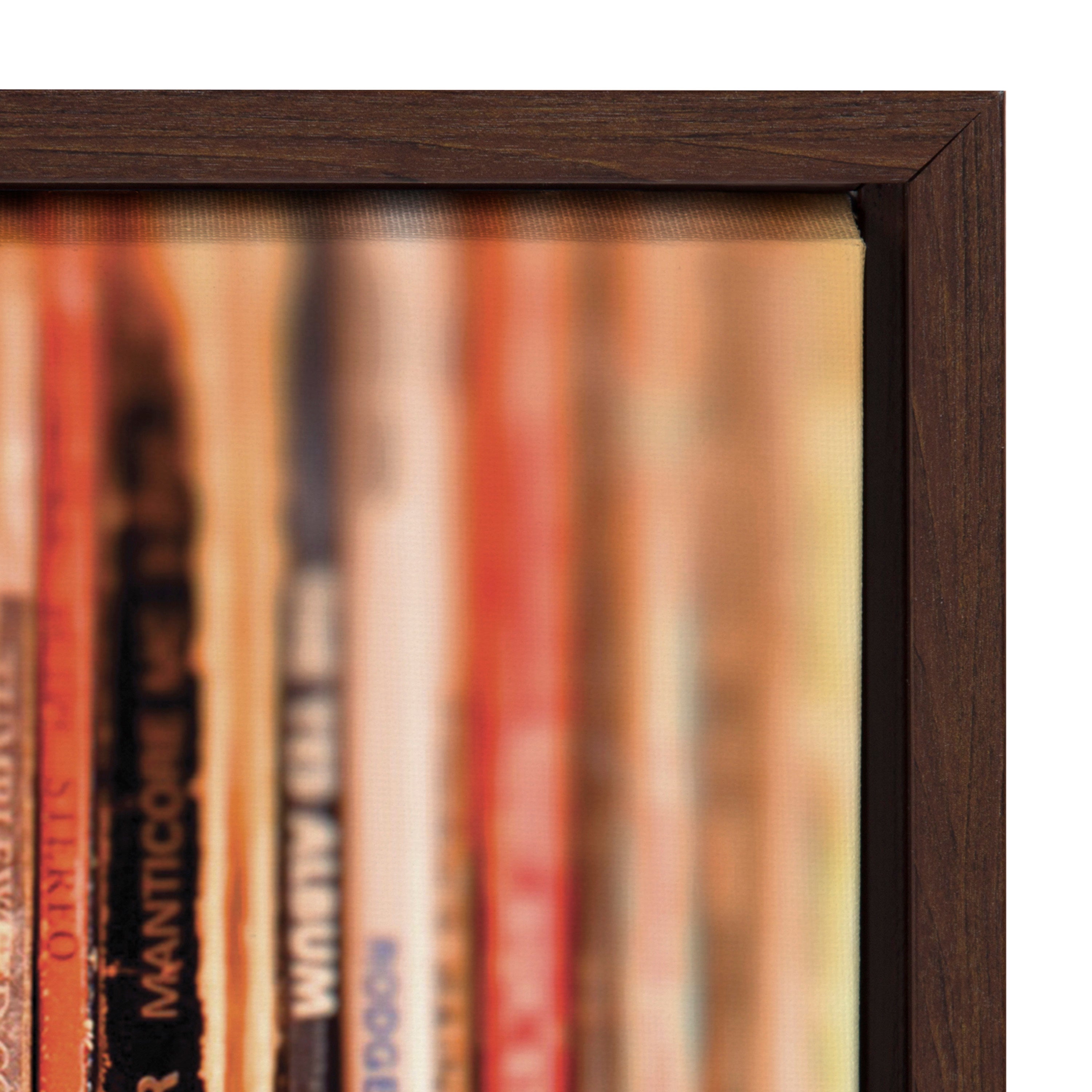 Sylvie Records Framed Canvas by Robert Cadloff of Bomobob