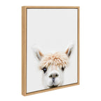 Sylvie Alpaca Bangs Framed Canvas by Amy Peterson Art Studio