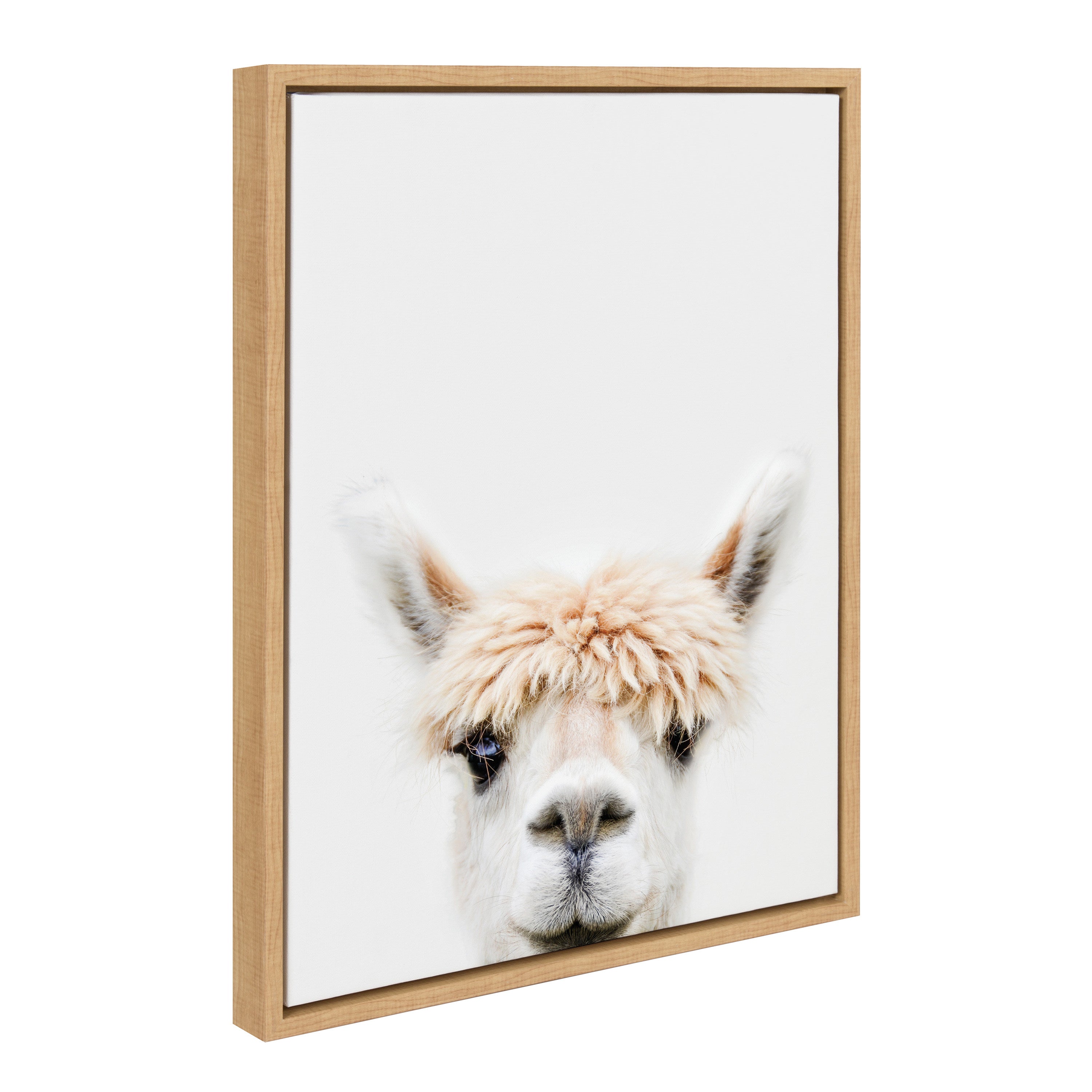 Sylvie Alpaca Bangs Framed Canvas by Amy Peterson Art Studio