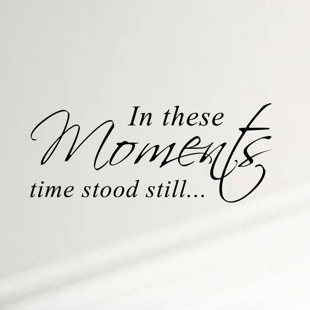 Innovative Stencils in These Moments Time Stood Still Home Wall Decal Sticker Family Quote Art #1292 (28 Wide X 11.5 High) (Matt