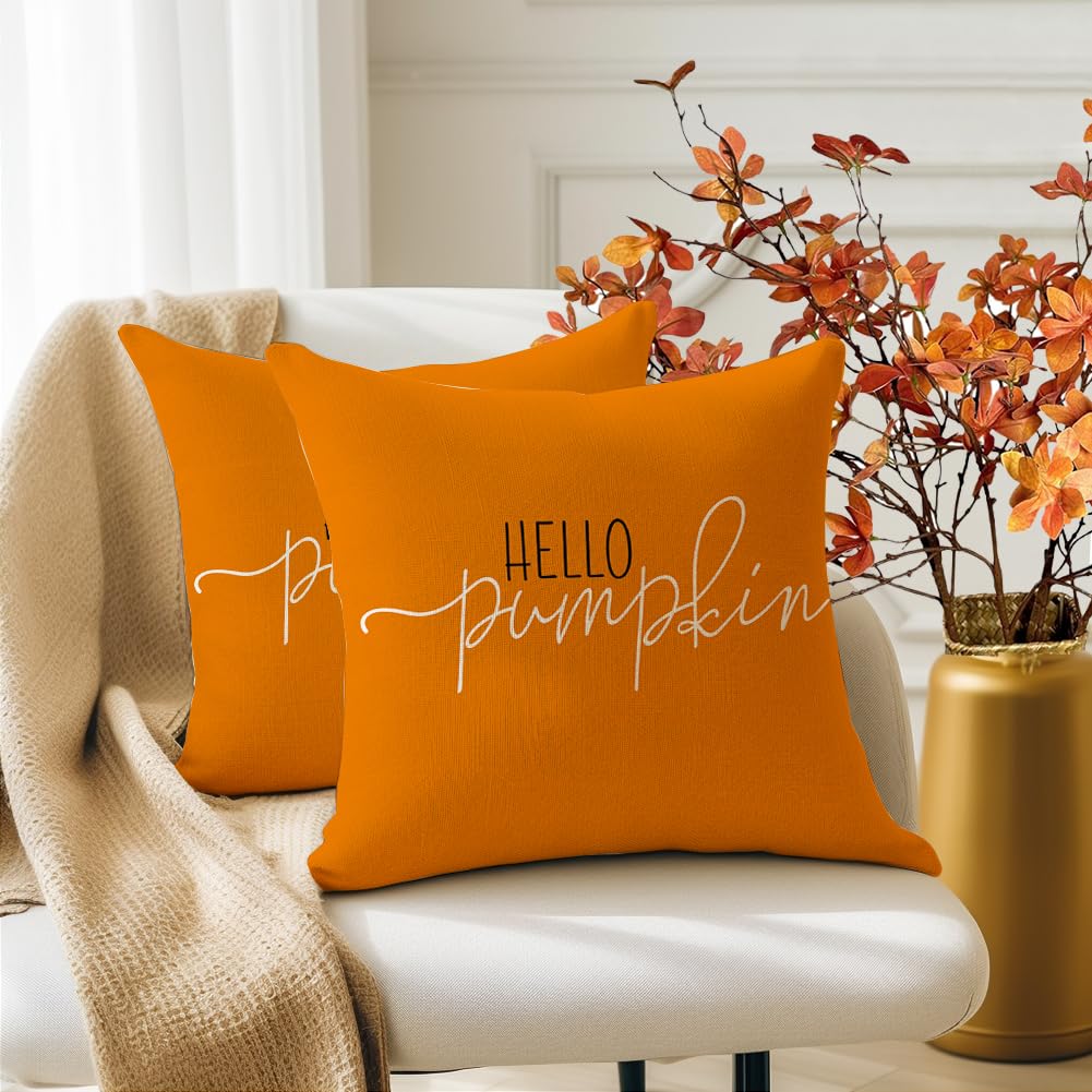 Rabusofa Fall Pillows Covers 18X18 Autumn Hello Pumpkin Pillows Decorative Throw Pillows,Lumbar Outdoor Thanksgiving Cushion Cov