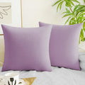 Quorgves Light Purple Pillow Covers 22X22 Inch Pack Of 2 Light Purple Throw Pillows For Couch Living Room Bed Bedroom Soft Velve