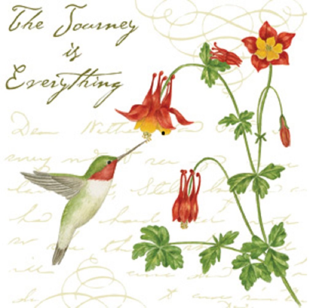 Alices Cottage AC34438 Hummingbird Flour Sack Towel (Set of 2)