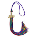 Endea Graduation Double Color Tassel with Gold Date Drop (Rainbow, 2020)