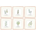 Golden State Art, 12x12 Picture Frame Rose Gold, Square Frames for Picture 8x8 with Mat or 12x12 whitout Aluminum Photo Frame wi