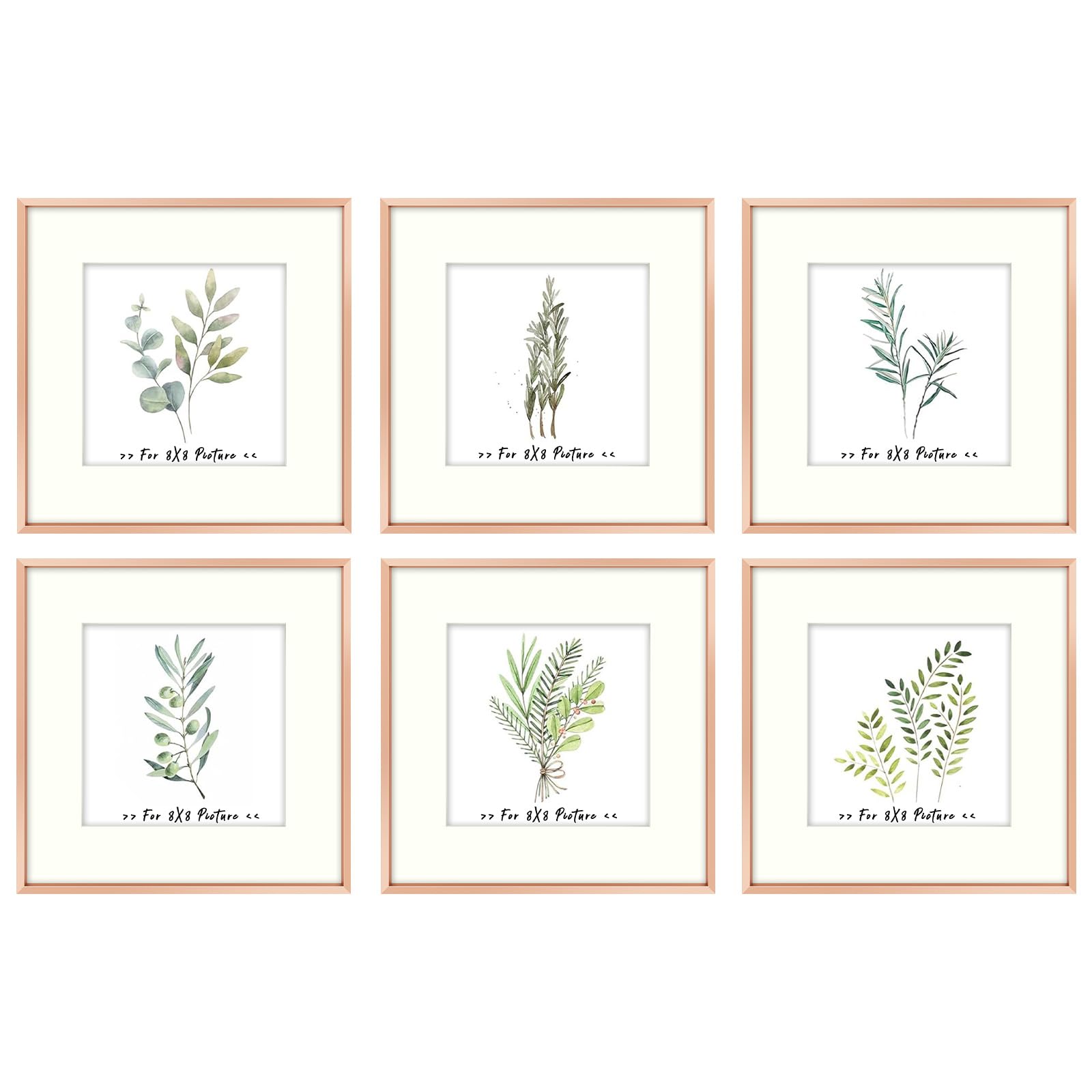 Golden State Art, 12x12 Picture Frame Rose Gold, Square Frames for Picture 8x8 with Mat or 12x12 whitout Aluminum Photo Frame wi