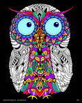 Baby Owl - Fuzzy Coloring Poster for Kids, Toddlers, Kids, Teens and Adults [Beautiful Arts and Crafts Project for All Ages] Arr