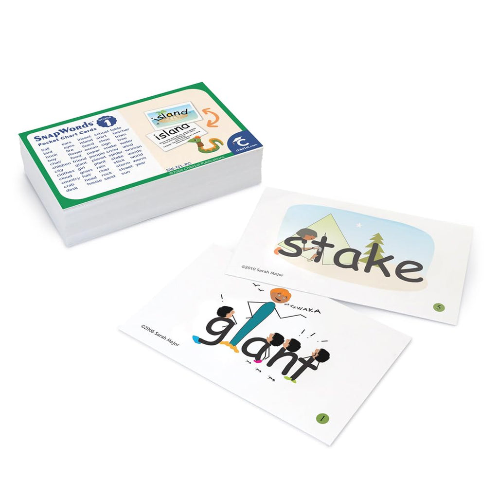 Snapwords Nouns 1 Pocket Chart Cards