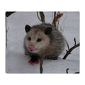 Cafepress Snow Possum Throw Blanket Super Soft Fleece Plush Throw Blanket, 60'X50'