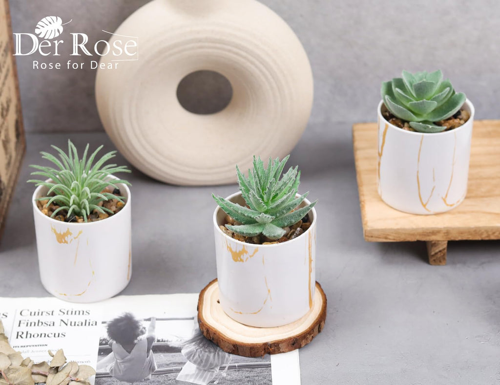 Der Rose 3 Pack Small Fake Plants Succulents Plants Artificial In Pots For Home Office Desk Decor For Women