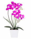 HOMESEASONS Orchid Lamp-LED Lighted Orchid Arrangements,Pre Lit Artificial Orchid,Light Up Flower Lights, Faux Orchid Phalaenops