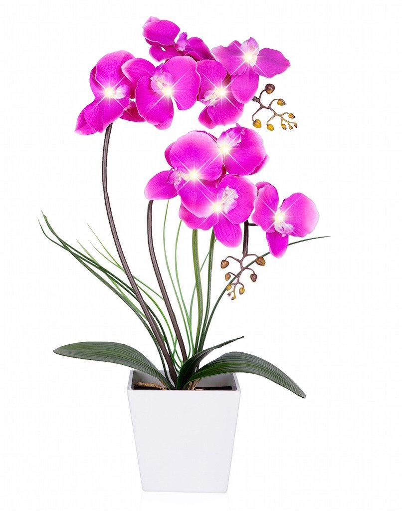 HOMESEASONS Orchid Lamp-LED Lighted Orchid Arrangements,Pre Lit Artificial Orchid,Light Up Flower Lights, Faux Orchid Phalaenops
