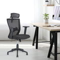 Nilkamal Hexon Mesh With Adjustable Arm Chair (Black) (High Back)